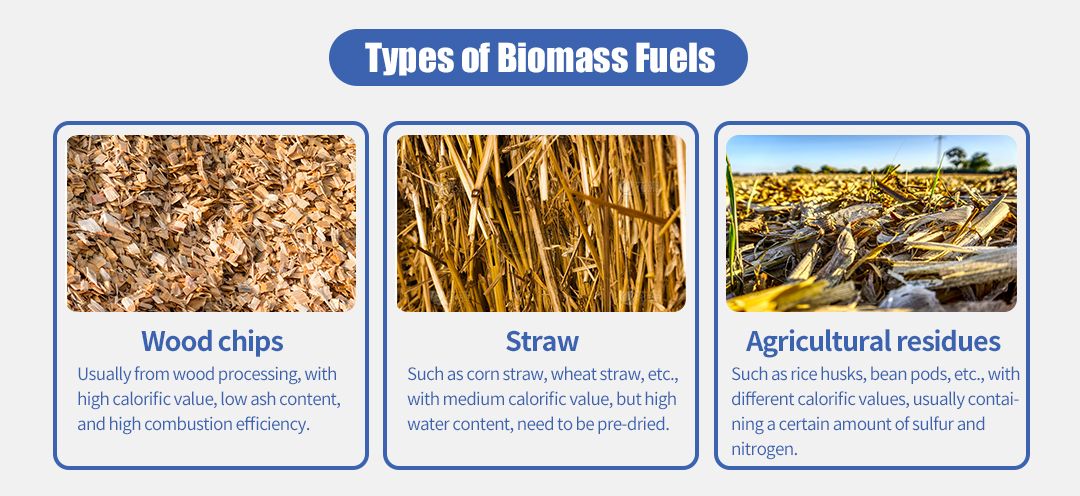 biomass fuels