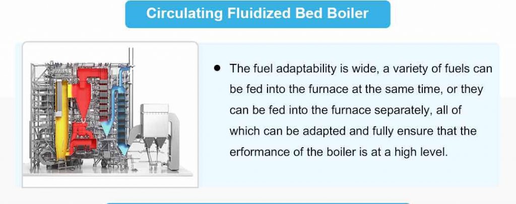 Biomass Boiler Selection Infographic