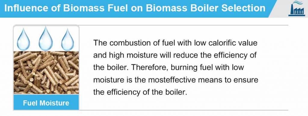 Biomass Boiler Selection Infographic