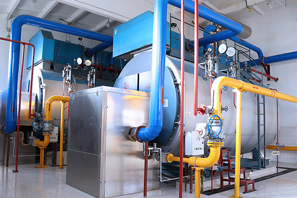 Professional Guide to Steam Boilers